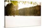 Stretched Canvas