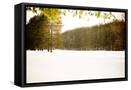 Framed Canvas