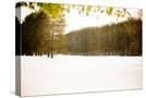 Stretched Canvas