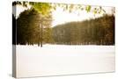 Stretched Canvas