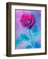 Photomontage of a Red Rose with Textures and Plants-Alaya Gadeh-Framed Photographic Print