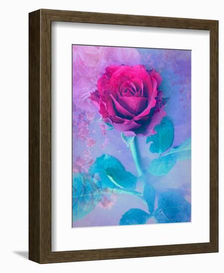 Photomontage of a Red Rose with Textures and Plants-Alaya Gadeh-Framed Photographic Print