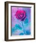 Photomontage of a Red Rose with Textures and Plants-Alaya Gadeh-Framed Photographic Print