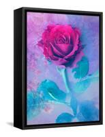 Photomontage of a Red Rose with Textures and Plants-Alaya Gadeh-Framed Stretched Canvas