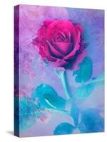 Photomontage of a Red Rose with Textures and Plants-Alaya Gadeh-Stretched Canvas