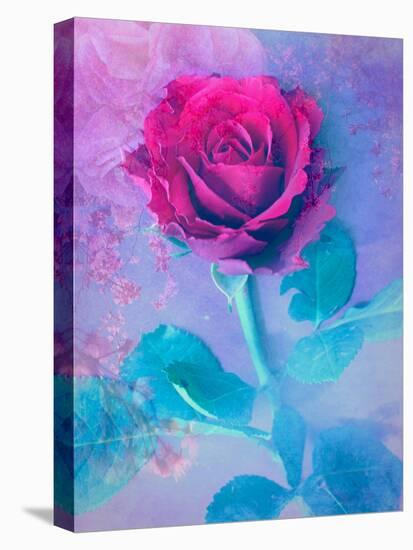 Photomontage of a Red Rose with Textures and Plants-Alaya Gadeh-Stretched Canvas