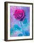 Photomontage of a Red Rose with Textures and Plants-Alaya Gadeh-Framed Photographic Print