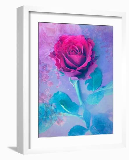 Photomontage of a Red Rose with Textures and Plants-Alaya Gadeh-Framed Photographic Print