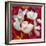 Photomontage of a White Orchidaceae on Red Floralen Ornament with Circle-Alaya Gadeh-Framed Photographic Print