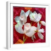 Photomontage of a White Orchidaceae on Red Floralen Ornament with Circle-Alaya Gadeh-Framed Photographic Print