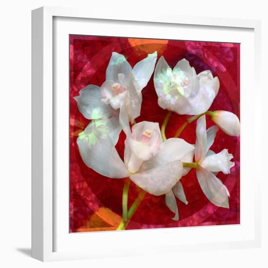 Photomontage of a White Orchidaceae on Red Floralen Ornament with Circle-Alaya Gadeh-Framed Photographic Print