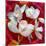 Photomontage of a White Orchidaceae on Red Floralen Ornament with Circle-Alaya Gadeh-Mounted Photographic Print