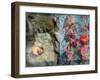 Photomontage of an Old Book with Flowers and Candles-Alaya Gadeh-Framed Photographic Print