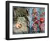 Photomontage of an Old Book with Flowers and Candles-Alaya Gadeh-Framed Photographic Print