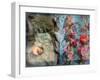 Photomontage of an Old Book with Flowers and Candles-Alaya Gadeh-Framed Photographic Print