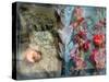 Photomontage of an Old Book with Flowers and Candles-Alaya Gadeh-Stretched Canvas