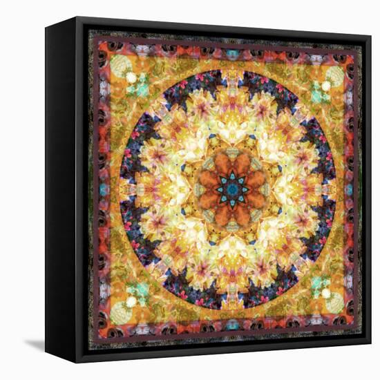 Photomontage of Flowers and Textures in a Symmetrical Ornament, Mandala-Alaya Gadeh-Framed Stretched Canvas