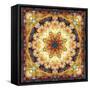 Photomontage of Flowers and Textures in a Symmetrical Ornament, Mandala-Alaya Gadeh-Framed Stretched Canvas