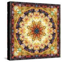 Photomontage of Flowers and Textures in a Symmetrical Ornament, Mandala-Alaya Gadeh-Stretched Canvas