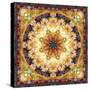 Photomontage of Flowers and Textures in a Symmetrical Ornament, Mandala-Alaya Gadeh-Stretched Canvas