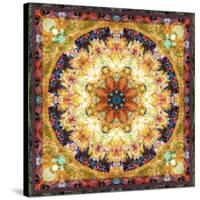 Photomontage of Flowers and Textures in a Symmetrical Ornament, Mandala-Alaya Gadeh-Stretched Canvas