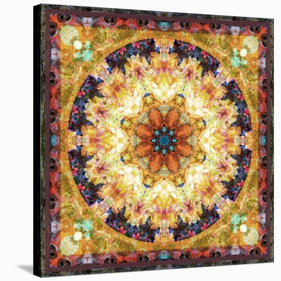 Photomontage of Flowers and Textures in a Symmetrical Ornament, Mandala-Alaya Gadeh-Stretched Canvas