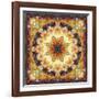 Photomontage of Flowers and Textures in a Symmetrical Ornament, Mandala-Alaya Gadeh-Framed Photographic Print