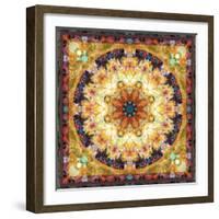 Photomontage of Flowers and Textures in a Symmetrical Ornament, Mandala-Alaya Gadeh-Framed Photographic Print