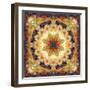 Photomontage of Flowers and Textures in a Symmetrical Ornament, Mandala-Alaya Gadeh-Framed Photographic Print