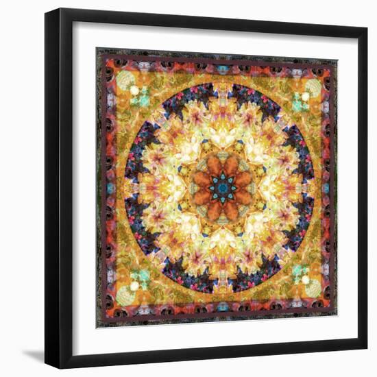 Photomontage of Flowers and Textures in a Symmetrical Ornament, Mandala-Alaya Gadeh-Framed Photographic Print