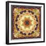 Photomontage of Flowers and Textures in a Symmetrical Ornament, Mandala-Alaya Gadeh-Framed Photographic Print