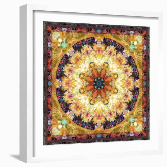 Photomontage of Flowers and Textures in a Symmetrical Ornament, Mandala-Alaya Gadeh-Framed Photographic Print