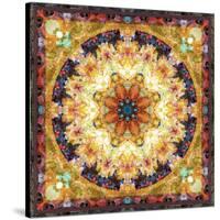 Photomontage of Flowers and Textures in a Symmetrical Ornament, Mandala-Alaya Gadeh-Stretched Canvas