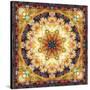 Photomontage of Flowers and Textures in a Symmetrical Ornament, Mandala-Alaya Gadeh-Stretched Canvas