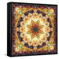 Photomontage of Flowers and Textures in a Symmetrical Ornament, Mandala-Alaya Gadeh-Framed Stretched Canvas