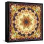 Photomontage of Flowers and Textures in a Symmetrical Ornament, Mandala-Alaya Gadeh-Framed Stretched Canvas
