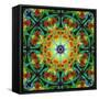 Photomontage of Flowers in a Symmetrical Ornament, Mandala-Alaya Gadeh-Framed Stretched Canvas