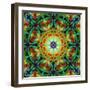 Photomontage of Flowers in a Symmetrical Ornament, Mandala-Alaya Gadeh-Framed Photographic Print