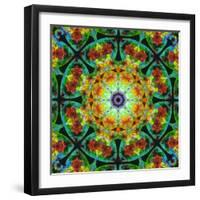 Photomontage of Flowers in a Symmetrical Ornament, Mandala-Alaya Gadeh-Framed Photographic Print