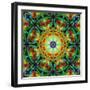 Photomontage of Flowers in a Symmetrical Ornament, Mandala-Alaya Gadeh-Framed Photographic Print