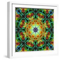 Photomontage of Flowers in a Symmetrical Ornament, Mandala-Alaya Gadeh-Framed Photographic Print