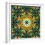 Photomontage of Flowers in a Symmetrical Ornament, Mandala-Alaya Gadeh-Framed Photographic Print