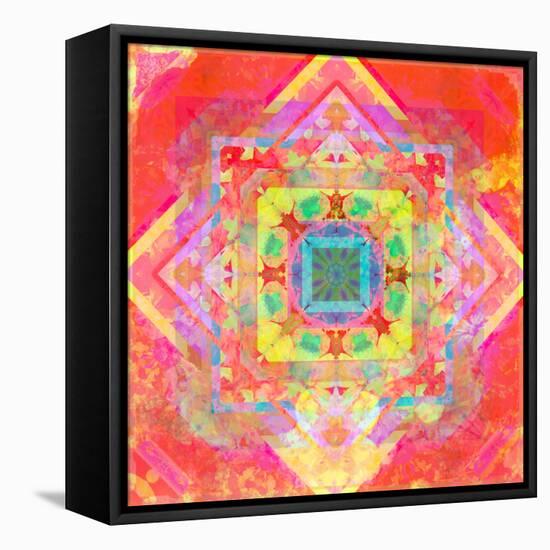 Photomontage of Geometrical Samples with Flowers, Conceptual Layer Work-Alaya Gadeh-Framed Stretched Canvas