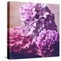 Photomontage of Hyacinths Blossoms and Textures in Pink, Lilacs and Brown Tones-Alaya Gadeh-Stretched Canvas