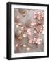 Photomontage of Mussels, Rose Petals and Sunflower-Alaya Gadeh-Framed Photographic Print