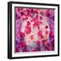 Photomontage of Red Roses and Floralen Ornaments-Alaya Gadeh-Framed Photographic Print