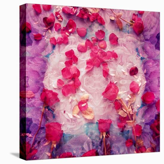 Photomontage of Red Roses and Floralen Ornaments-Alaya Gadeh-Stretched Canvas