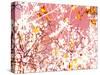 Photomontage of Trees in Purple Tones-Alaya Gadeh-Stretched Canvas