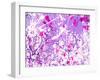 Photomontage of Trees in Purple Tones-Alaya Gadeh-Framed Photographic Print