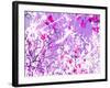 Photomontage of Trees in Purple Tones-Alaya Gadeh-Framed Photographic Print